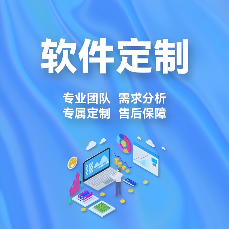 定制开发软件，让企业运营更高效