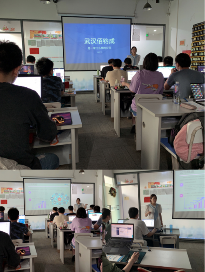 软件定制开发：助力企业精准导航
